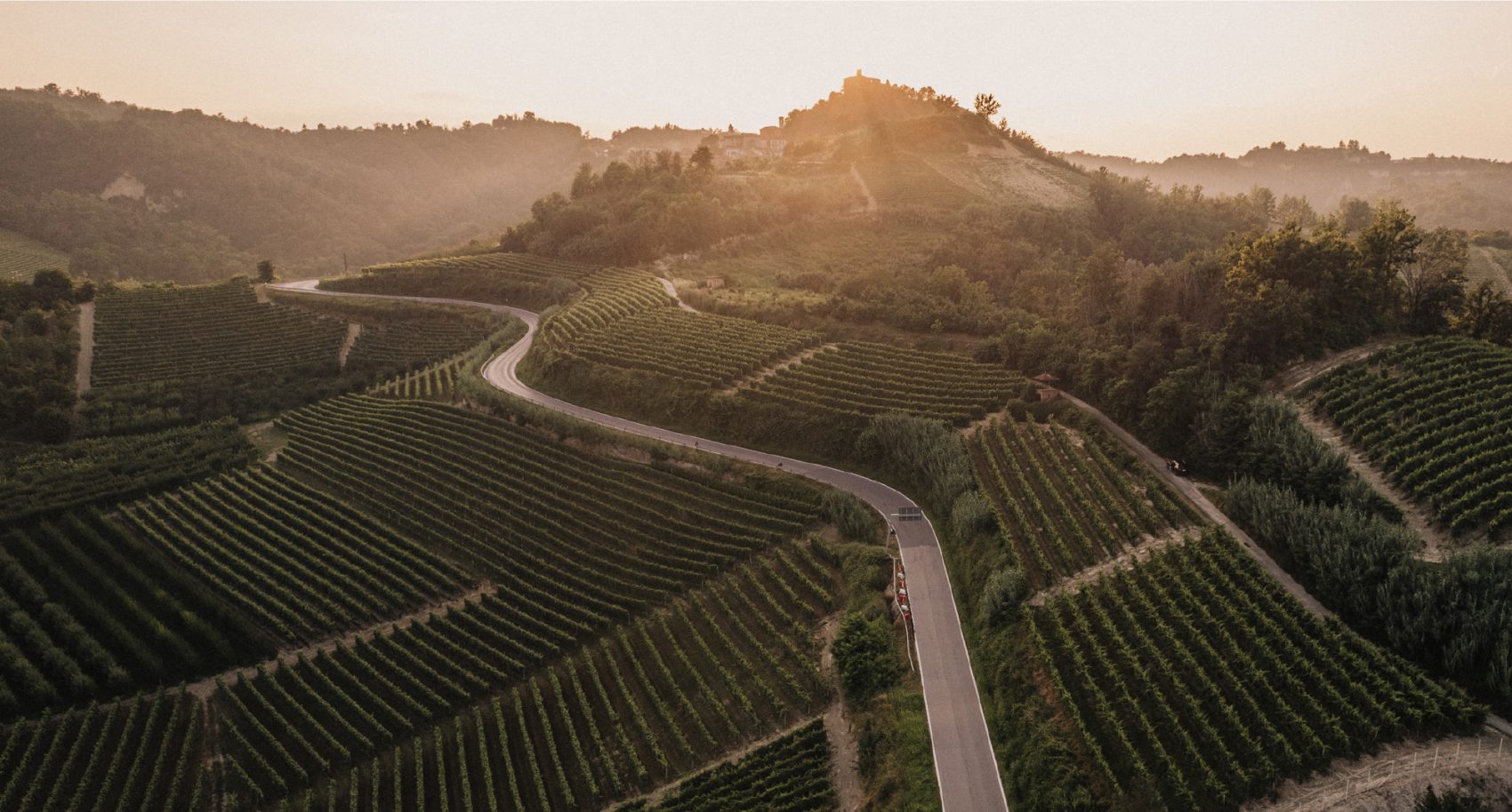 I nostri vigneti nel Roero - Bajaj